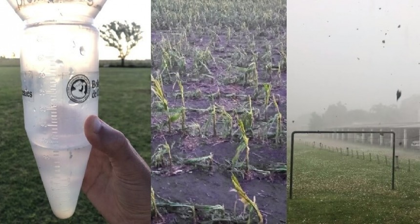 El clima el fin de semana: entre la alegría de las lluvias y el lamento de los daños por tormentas
