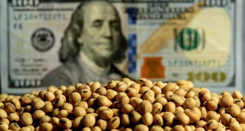 Para cubrirse de la seca, aconsejan no vender soja y volcarse a las coberturas