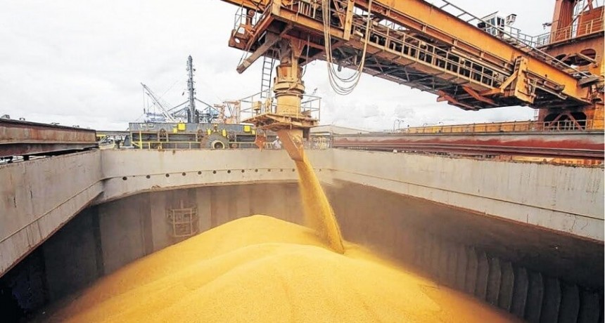 El “azote climático” golpeará con dureza a las exportaciones de trigo