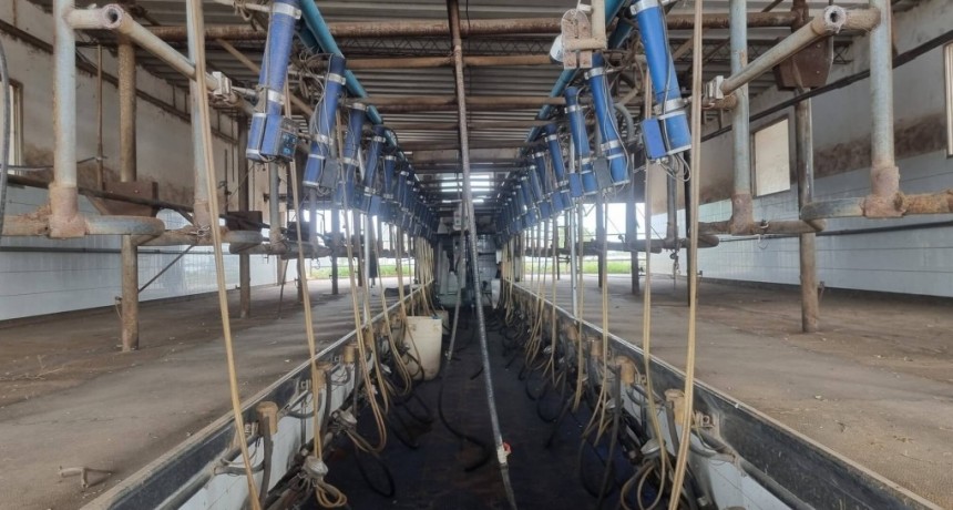 “La sequía nos está golpeando fuerte”: la carta de la cadena láctea a la sociedad argentina