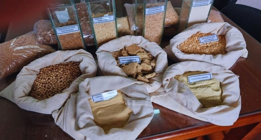 Lanzan un clúster para promover el desarrollo y exportación de texturizados de soja