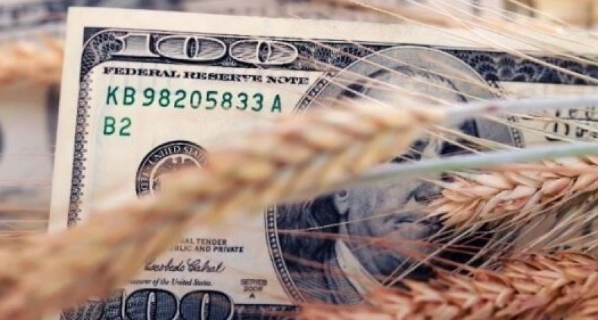 Siguen los cruces por el dólar exportador: acopiadores prometen escrachar a las empresas que no lo pagan