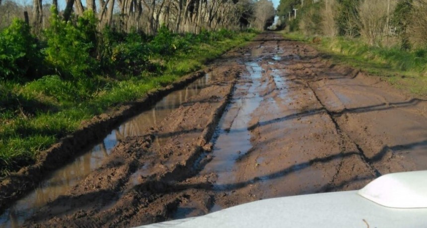 Salto, otro municipio con los productores en pie de guerra por un aumento de la tasa vial