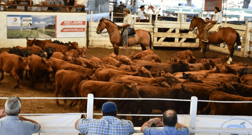 Los feedlots, a la espera de más subas en la hacienda para consumo: ¿cuándo llegaría a los $ 2.000?
