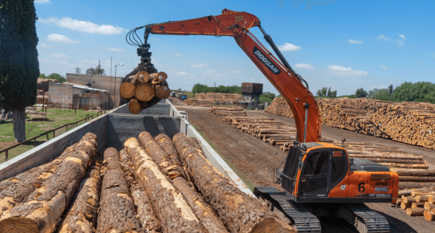 El sector forestal le pide a Javier Milei medidas para recomponer el perfil exportador
