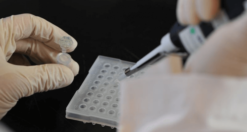 Ideas innovadoras para el agro: las 18 propuestas que premió el INTA