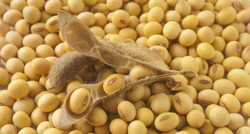 El desafío de la industria aceitera de “pasar el verano”: queda muy poca soja hasta la nueva cosecha