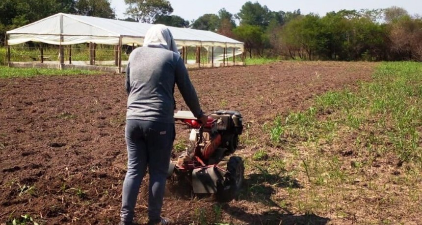 Tiene 25 años, cultiva una huerta en una de las mejores zonas agrícolas y cuenta los secretos de un buen “quintero”