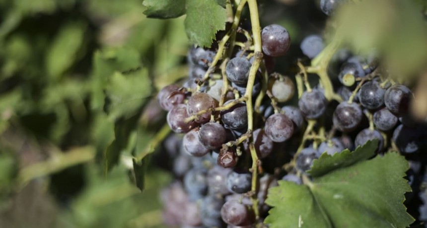 &ldquo;Las retenciones se quitar&aacute;n lo antes posible se logren las metas de estabilizaci&oacute;n&rdquo;