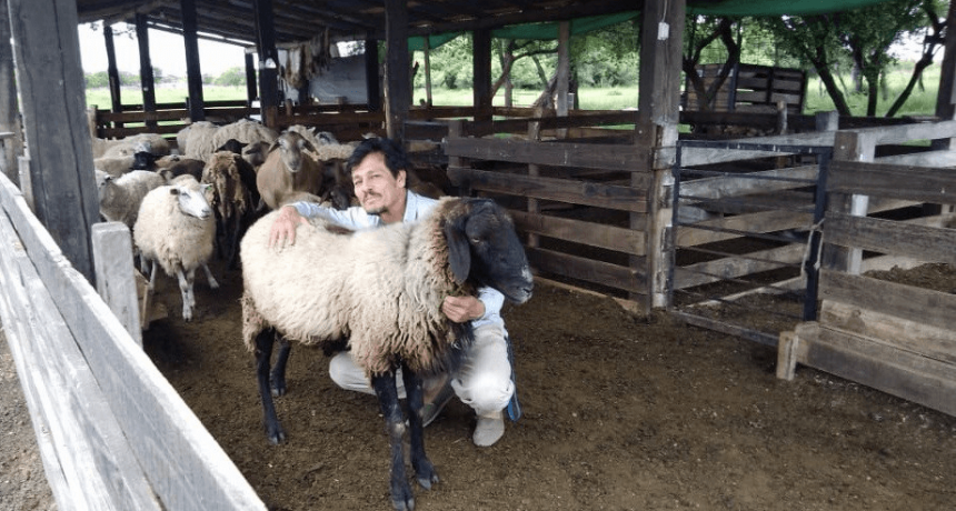 No solo en la Patagonia: los ovinos ampl&iacute;an su mapa productivo y se animan al calor de Corrientes