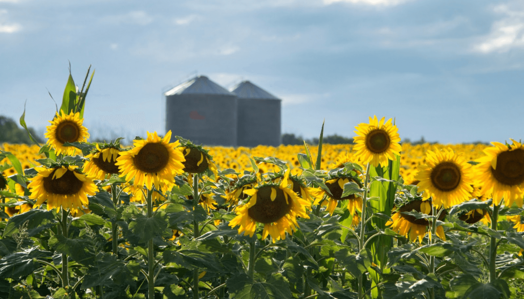 “Un impuesto distorsivo que debe eliminarse”: ya es oficial la nueva baja de retenciones