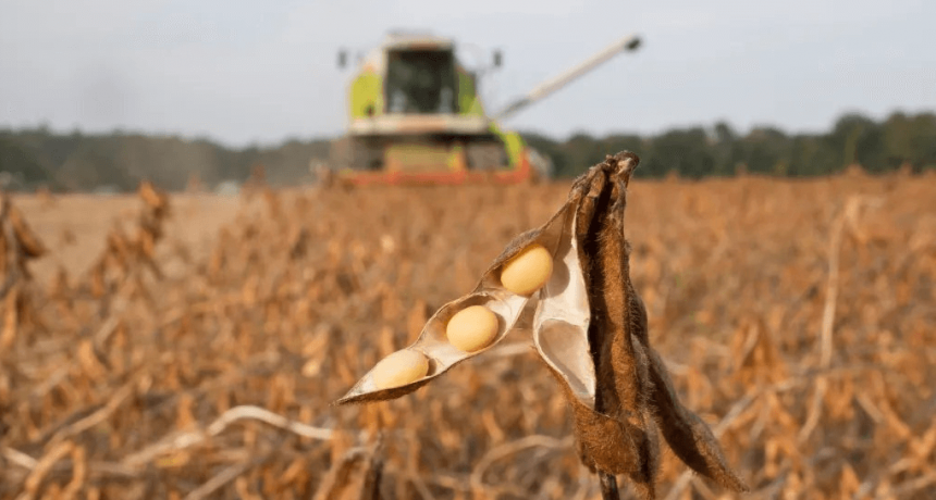 “Un buen mensaje para el productor”: el agro celebra la nueva rebaja de retenciones