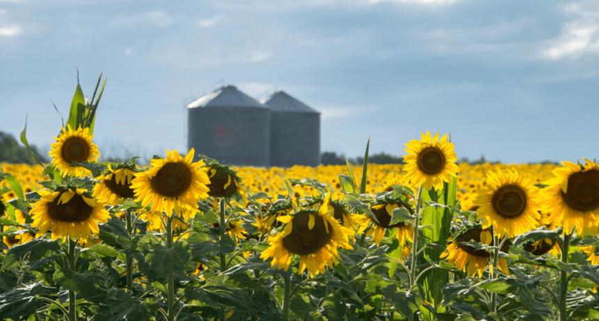 “Un impuesto distorsivo que debe eliminarse”: ya es oficial la nueva baja de retenciones