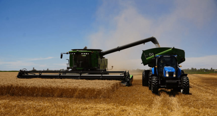 La supercosecha de trigo y un gran desafío: ¿es posible exportar más de 20 millones de toneladas?