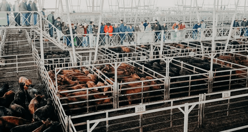 El precio de la carne, en días de Fiestas: para la Sociedad Rural Argentina hay “10 claves estructurales” que explican subas