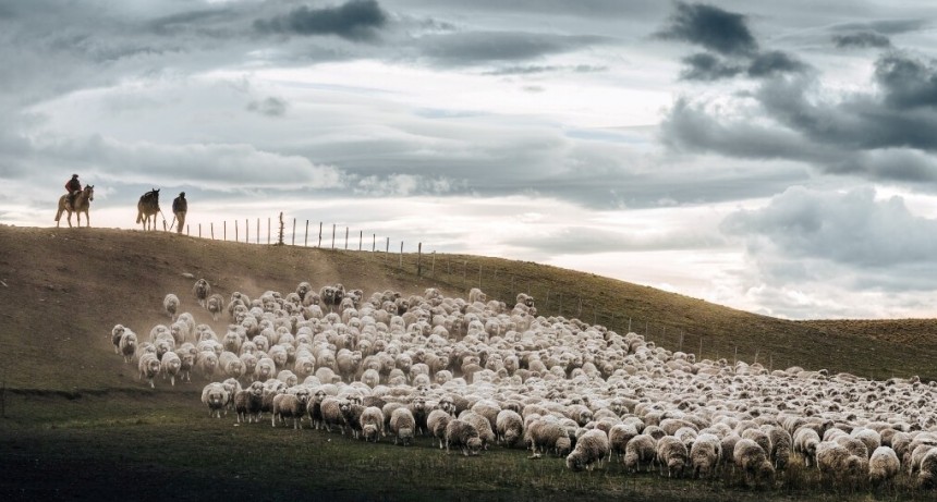 Familia Gallie: cuatro generaciones en la Patagonia y una ganadería ovina que aprendió a regenerarse