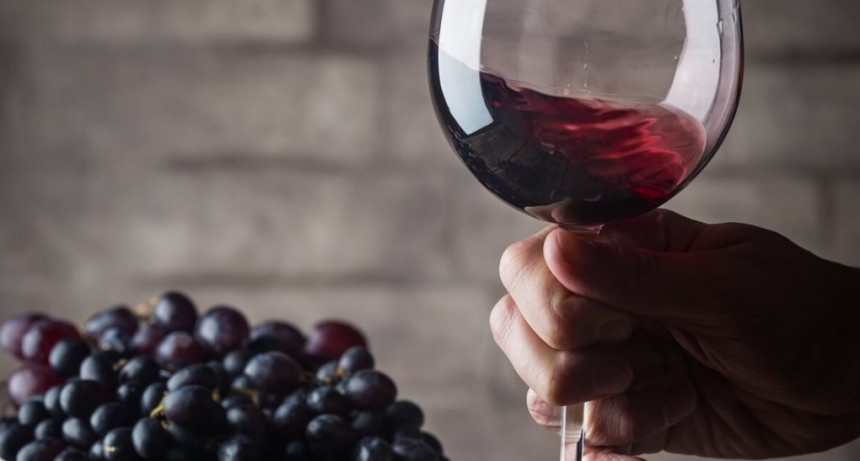 Vinos sin alcohol: las bodegas argentinas salen al mercado con los primeros ejemplares